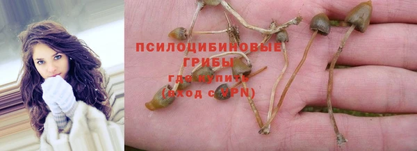прущий лед Алексеевка