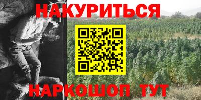 гидра Аргун