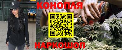 гидра Аргун