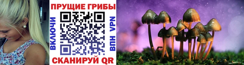 Галлюциногенные грибы GOLDEN TEACHER  наркота  Белореченск 